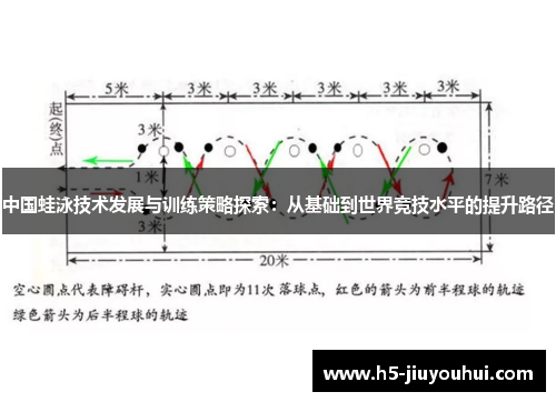 中国蛙泳技术发展与训练策略探索：从基础到世界竞技水平的提升路径
